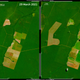 Mato Grosso seen in satellite images, one year apart.